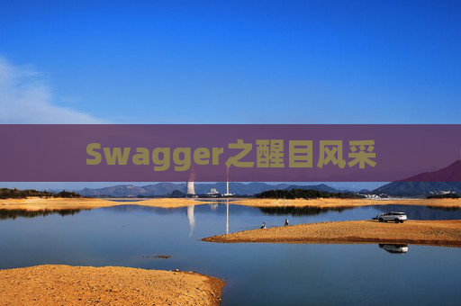 Swagger之醒目风采